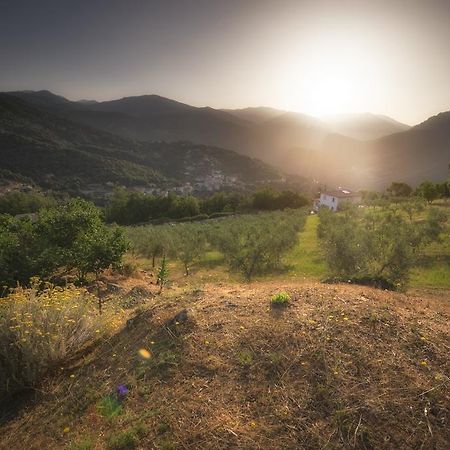 Sarl Aurore-Vacances Vico Exterior photo