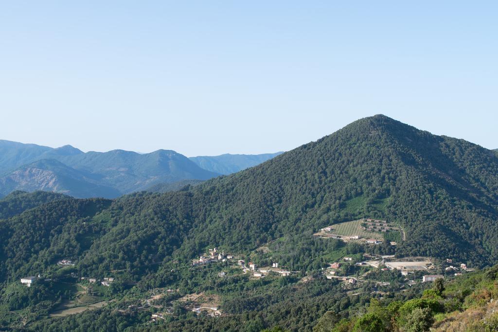 Sarl Aurore-Vacances Vico Exterior photo