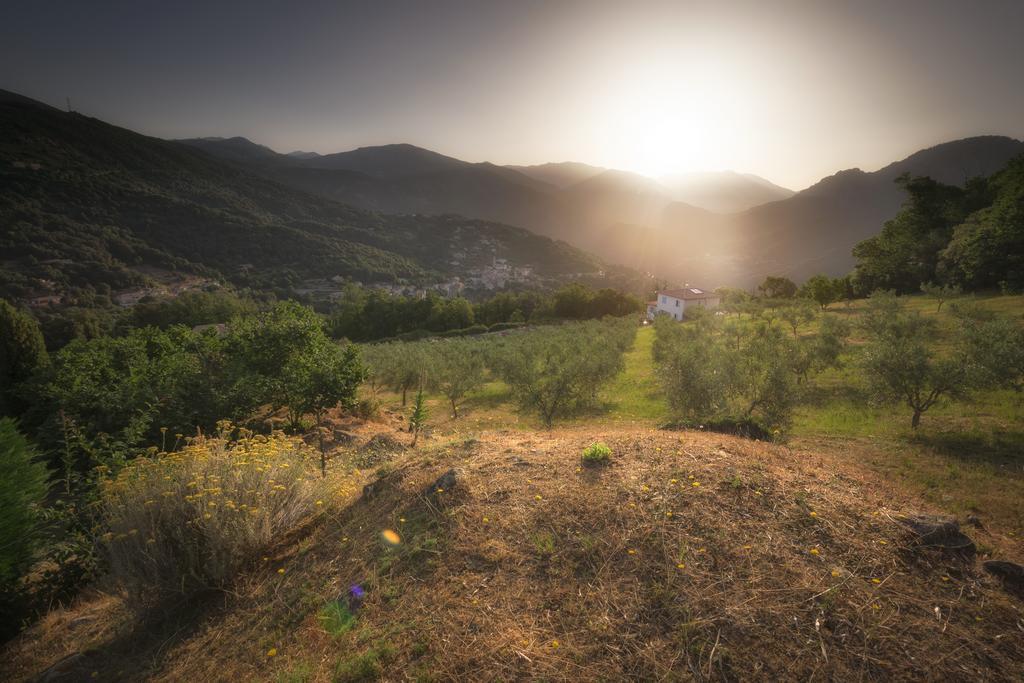 Sarl Aurore-Vacances Vico Exterior photo
